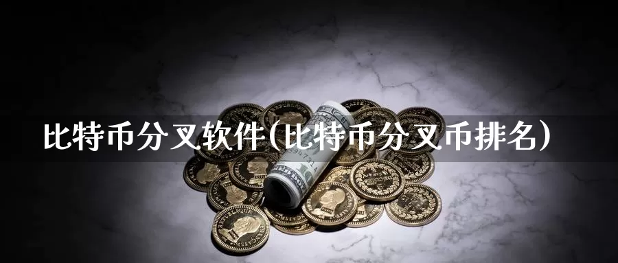 比特币分叉软件(比特币分叉币排名)_https://www.xlyzjpj.com_币圈资讯_第1张