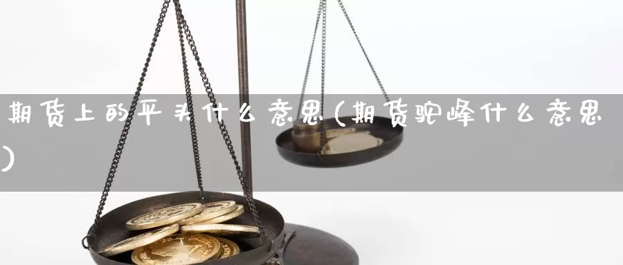 期货上的平头什么意思(期货驼峰什么意思)_https://www.xlyzjpj.com_橡胶期货_第1张