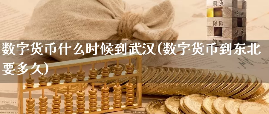 数字货币什么时候到武汉(数字货币到东北要多久)_https://www.xlyzjpj.com_期货新闻_第1张