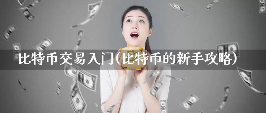 比特币交易入门(比特币的新手攻略)_https://www.xlyzjpj.com_币圈资讯_第1张