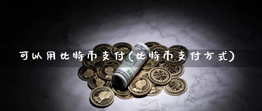 可以用比特币支付(比特币支付方式)_https://www.xlyzjpj.com_币圈资讯_第1张