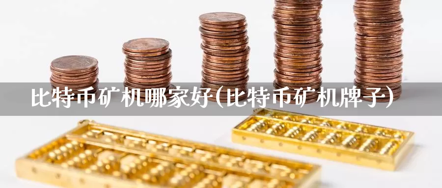 比特币矿机哪家好(比特币矿机牌子)_https://www.xlyzjpj.com_币圈资讯_第1张