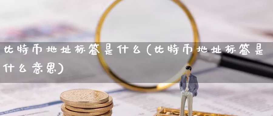 比特币地址标签是什么(比特币地址标签是什么意思)_https://www.xlyzjpj.com_币圈资讯_第1张