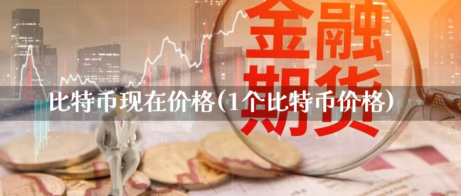 比特币现在价格(1个比特币价格)_https://www.xlyzjpj.com_币圈资讯_第1张