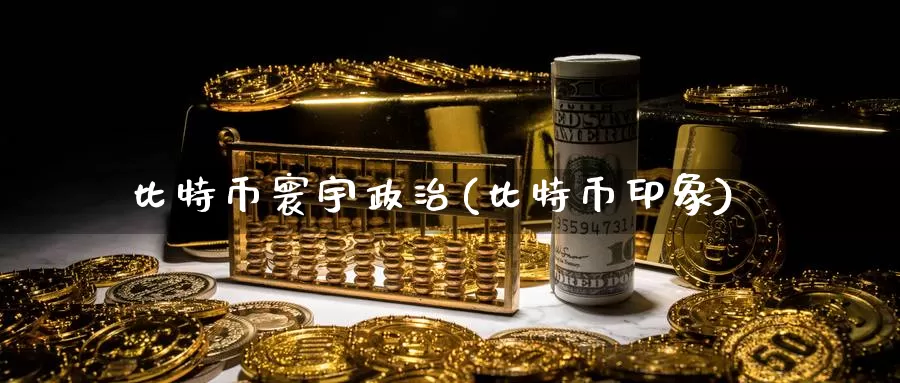 比特币寰宇政治(比特币印象)_https://www.xlyzjpj.com_币圈资讯_第1张