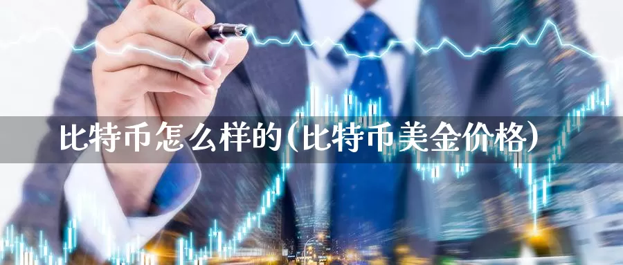 比特币怎么样的(比特币美金价格)_https://www.xlyzjpj.com_币圈资讯_第1张