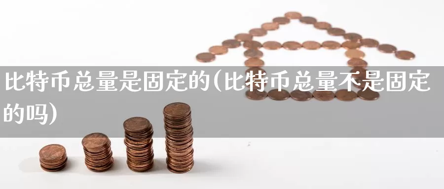 比特币总量是固定的(比特币总量不是固定的吗)_https://www.xlyzjpj.com_币圈资讯_第1张