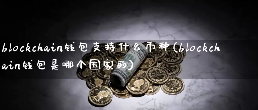 blockchain钱包支持什么币种(blockchain钱包是哪个国家的)_https://www.xlyzjpj.com_币圈资讯_第1张