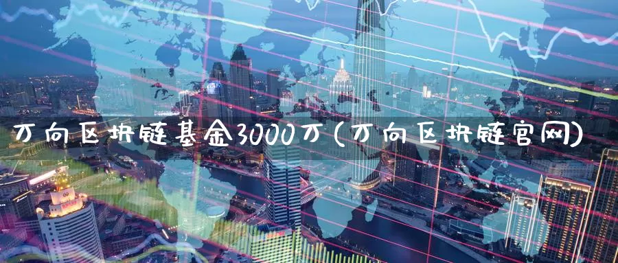 万向区块链基金3000万(万向区块链官网)_https://www.xlyzjpj.com_币圈资讯_第1张