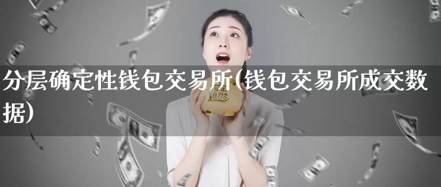 分层确定性钱包交易所(钱包交易所成交数据)_https://www.xlyzjpj.com_币圈资讯_第1张