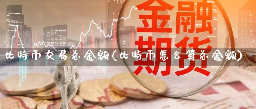 比特币交易总金额(比特币怎么算总金额)_https://www.xlyzjpj.com_币圈资讯_第1张