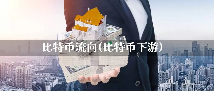 比特币流向(比特币下游)_https://www.xlyzjpj.com_币圈资讯_第1张