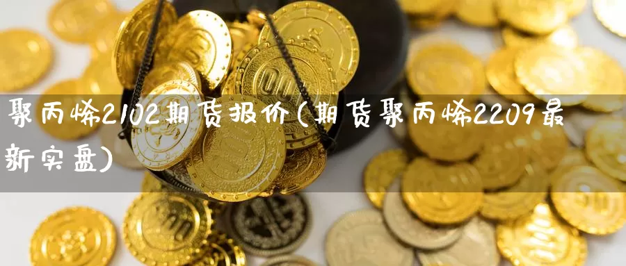 聚丙烯2102期货报价(期货聚丙烯2209最新实盘)_https://www.xlyzjpj.com_币圈资讯_第1张