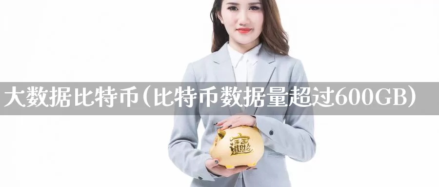 大数据比特币(比特币数据量超过600GB)_https://www.xlyzjpj.com_币圈资讯_第1张