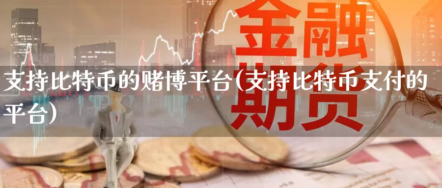 支持比特币的赌博平台(支持比特币支付的平台)_https://www.xlyzjpj.com_币圈资讯_第1张