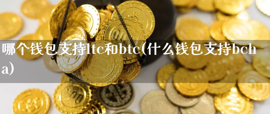 哪个钱包支持ltc和btc(什么钱包支持bcha)_https://www.xlyzjpj.com_币圈资讯_第1张