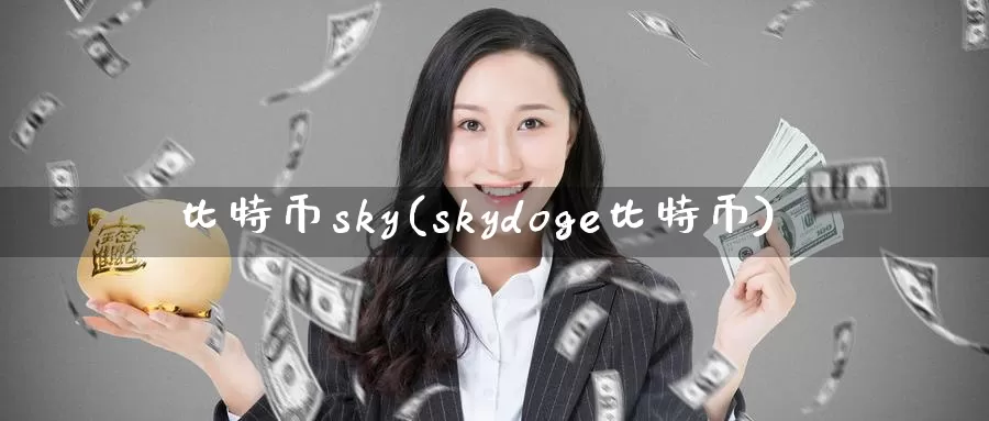 比特币sky(skydoge比特币)_https://www.xlyzjpj.com_币圈资讯_第1张