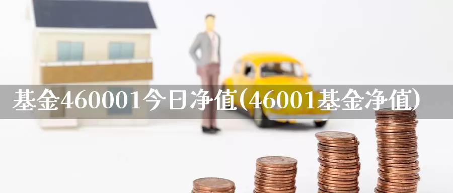 基金460001今日净值(46001基金净值)_https://www.xlyzjpj.com_橡胶期货_第1张