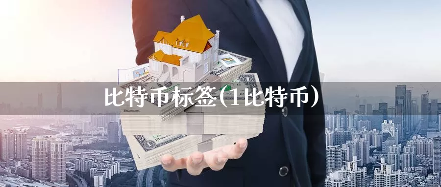 比特币标签(1比特币)_https://www.xlyzjpj.com_币圈资讯_第1张