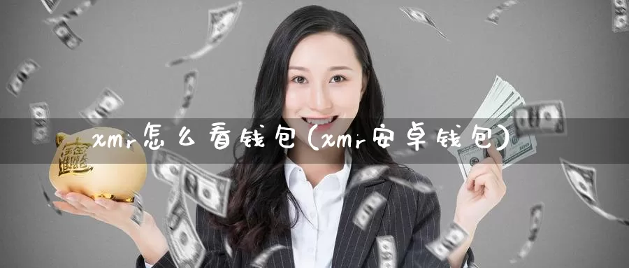 xmr怎么看钱包(xmr安卓钱包)_https://www.xlyzjpj.com_币圈资讯_第1张