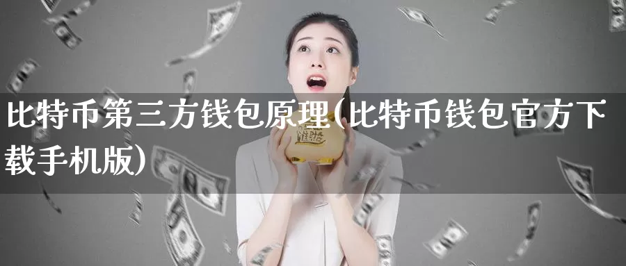 比特币第三方钱包原理(比特币钱包官方下载手机版)_https://www.xlyzjpj.com_币圈资讯_第1张